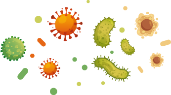Virus germs and bacteria protection. Healthy immune system, adult man and woman protected from viruses and bacterias by immunity shield vector iilustration set. Person resistant and prevention disease