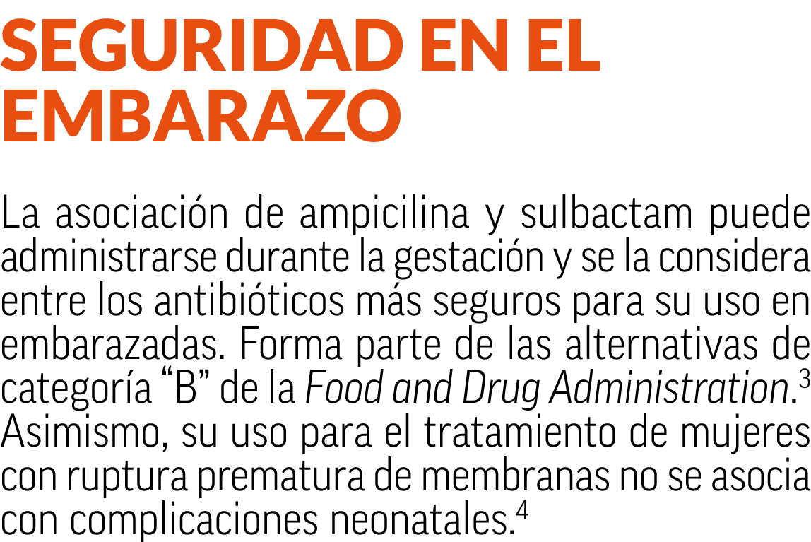 Seguridad en el embarazo La asociaci n de ampicilina y sulbactam puede administrarse durante la gestaci n y se la con...