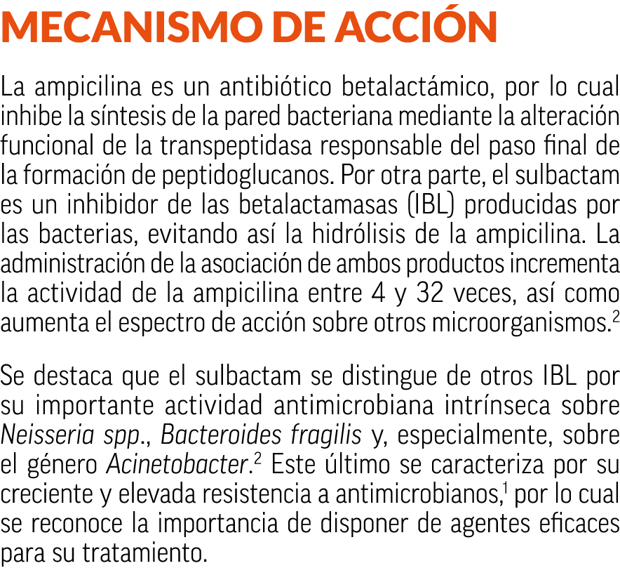 Mecanismo de acci n La ampicilina es un antibi tico betalact mico, por lo cual inhibe la s ntesis de la pared bacteri...