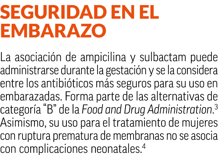 Seguridad en el embarazo La asociaci n de ampicilina y sulbactam puede administrarse durante la gestaci n y se la con...