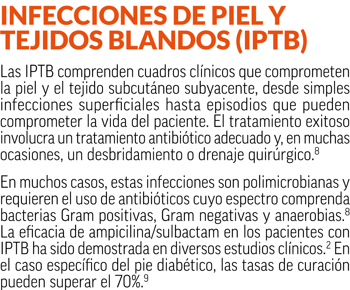 Infecciones de piel y tejidos blandos (IPTB) Las IPTB comprenden cuadros cl nicos que comprometen la piel y el tejido...